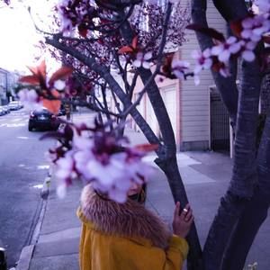 Meet your Posher, Kimberley